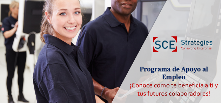 Conoce el Programa de Apoyo al Empleo (PAE)